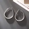 Brincos de Gota Fosca de Alta Qualidade, Estilo Cool de Metal, Brincos Elegantes da Moda, Agulha de Prata S925, Brincos Versáteis para Mulheres