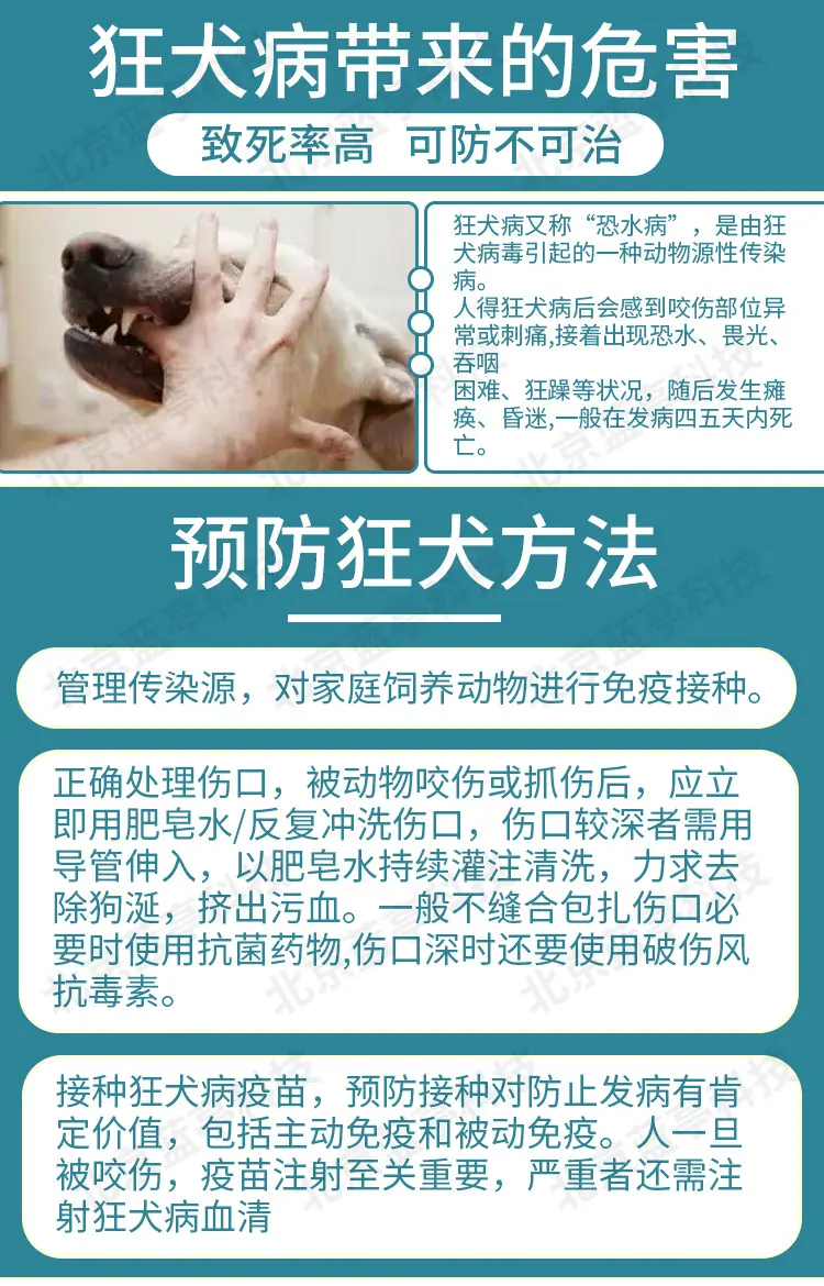 多格多英特威水印_06.jpg