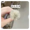 Pincel para Blush Dotte de Lã Fina Cor Marfim Claro Macio Fofo Pincel de Maquiagem Transparente Cabelo Animal Especial de Cangzhou