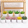 Oferta Especial do Fabricante: Plantas Suculentas Artificiais em Vasos de Cerâmica para Mesas de Escritório Internas, Pequenas Plantas Verdes em Vasos, Flores Artificiais, Plantas Suculentas em Vasos