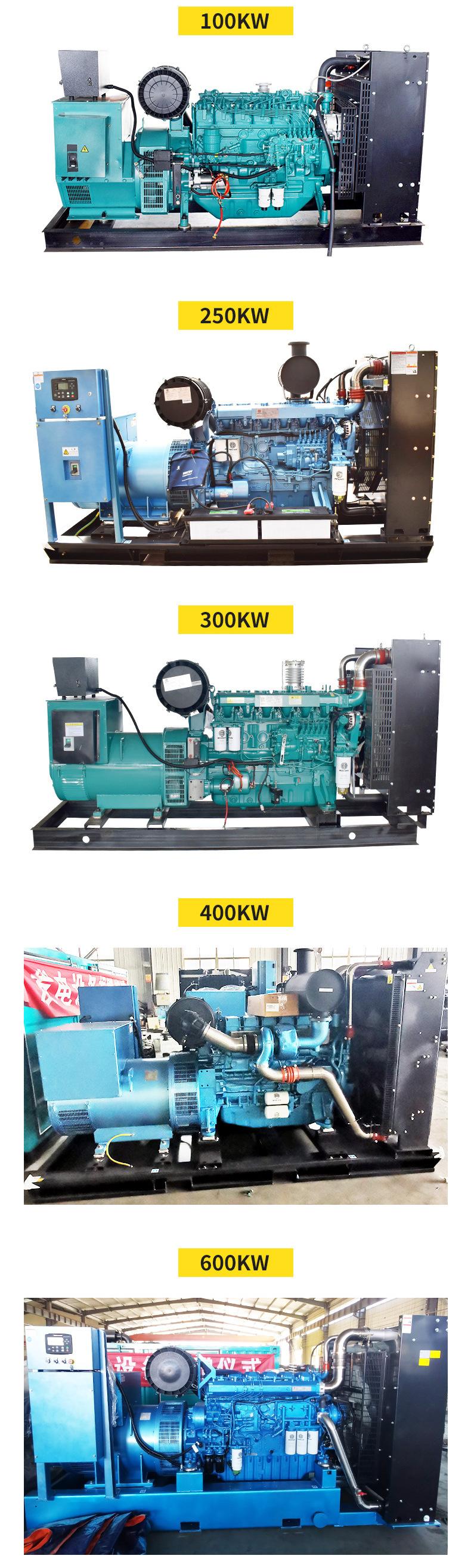 潍柴300KW发电机组详情_05