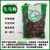 Ciruelas Negras Frescas, Nuevas Ciruelas Negras Sin Azufre, Ciruelas Negras Secas, Ciruelas Negras Ahumadas, Materiales Medicinales Chinos, Distribución al por Mayor y al por Menor