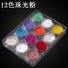 Arte de uñas polvo perlado de 12 colores Arte de uñas polvo perlado polvo fluorescente de 12 colores Arte de uñas polvo de color polvo de sombra de ojos Arte de uñas variedad de colores