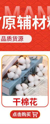 小鸟详情_01_02_03