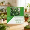 Solución Nutritiva Especial para Planta de Pez Dorado: Promueve la Floración y el Crecimiento de las Hojas, Fertilizante para Jardinería Casera y Macetas de Plantas Verdes, Mayoreo