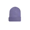 Chapéu de Tricô Bordado Multicor Transfronteiriço Outono e Inverno Fino Leve Cor Lisa Versátil Proteção para as Orelhas Quente Chapéu de Lã
