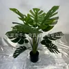 Planta artificial de bambú con forma de caparazón de tortuga albina en maceta, plantas verdes falsas de ajuste suave, decoración de paisajismo para interior, ventana, porche, bonsái de suelo, estilo europeo