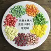 Rodajas de Fruta Simulada Ecológicas Rodajas de Arcilla Suave de PVC Arcilla Hecha a Mano con Pegamento de Crema Arcilla Slime Escultura de Arcilla Mini Arcilla
