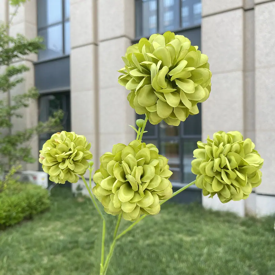 4头高枝芙蓉球-wxzjgx-绿色.JPG