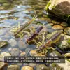 Mosca Garza Blanca WY1177-78-79 Anzuelo Ninfa Biónica Señuelo de Pesca con Mosca Señuelo Biónico Mosca Señuelo Simulada para Pesca de Trucha