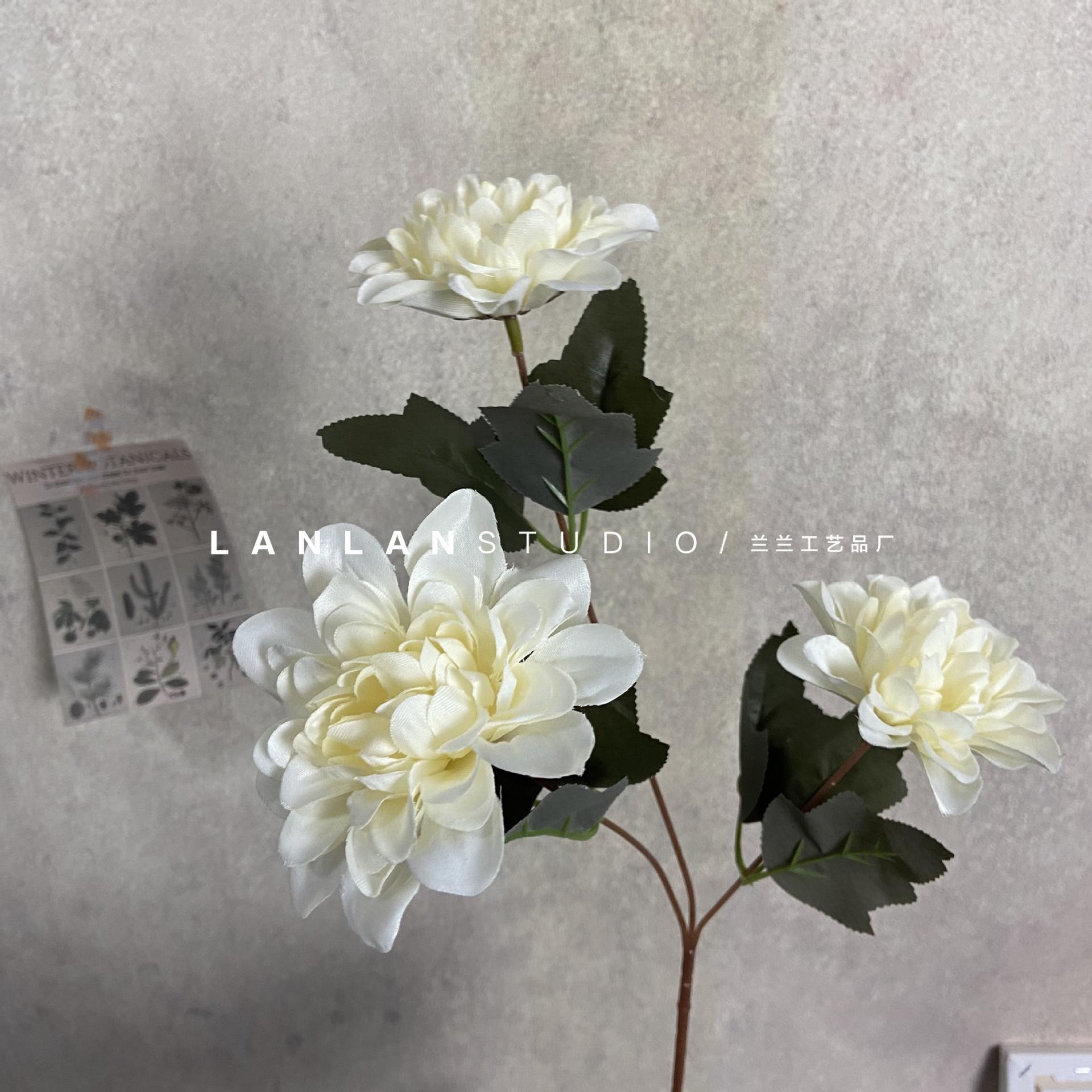 微信图片_20201025152830