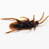 Día de los Inocentes cucaracha Xiaoqiang truco divertido asqueroso aterrador juguete accesorios de broma Suministro de AliExpress