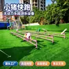 Parque de Diversões Não Motorizado Corrida de Porquinhos Equipamento de Playground Área Cênica Externa Pista Infantil Corrida Projeto de Entretenimento
