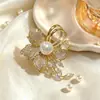 Broche de hebilla antideslumbrante para mujer, sentido de alta gama, nicho de alta gama, pin de ramillete de alta gama, pequeños accesorios de incienso, lindo dibujo animado al por mayor