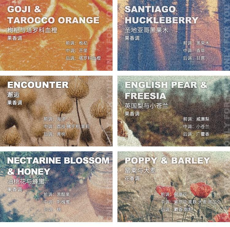 香味描述3-210315.jpg