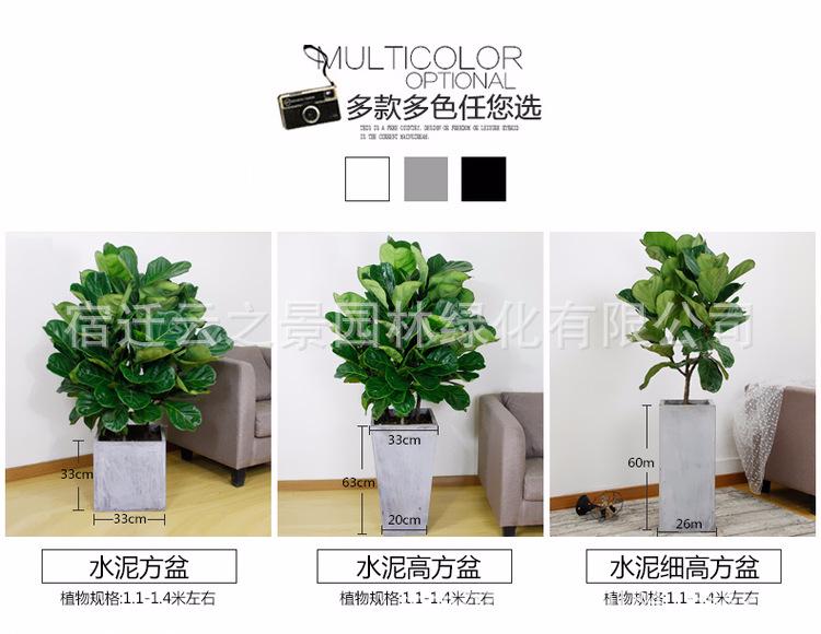 鐞村彾姒曡缁?1