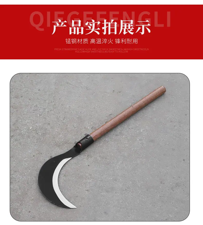 详情_12.jpg