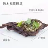 Macetas para Bonsái de Forma Inusual, Diseños Creativos y Únicos para Suculentas, Popular Decoración de Jardín Estilo Nórdico