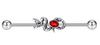 AliExpress comércio exterior de aço inoxidável industrial unha da orelha punção ornamentos uma variedade de orelha longa osso da unha da ponte da orelha prego em estoque