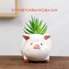 Maceta para Suculentas de Amazon Transfronteriza Dibujos Animados Linda Creativa Comercio Exterior Animal Cerámica Artesanía de Jardinería de Escritorio Plantas en Maceta