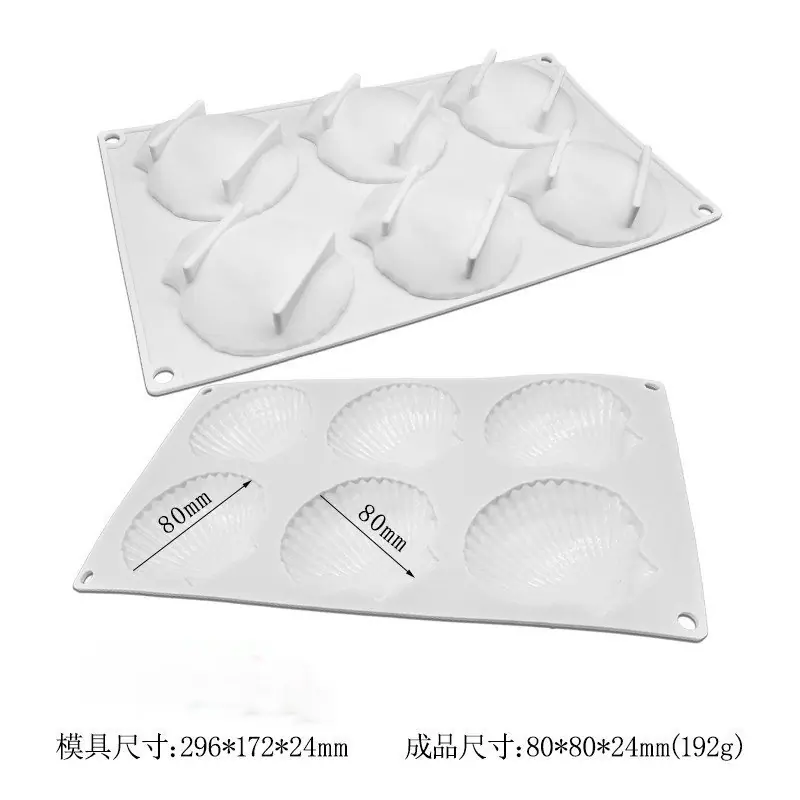 6连贝壳 (4)