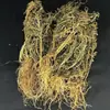 Ganoderma d'água, Coptis d'água, Lótus amarelo d'água, Erva da vesícula biliar de peixe Chegada Nova Atacado Dropshipping