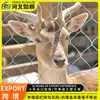 Cerca de Proteção para Criação de Animais em Aço Galvanizado a Quente e Frio, Antiferrugem, Fio de Aço Grosso para Zoológico ao Ar Livre, Malha de Arame Quadrada Diamante