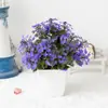Venta Caliente Transfronteriza Planta de Simulación Planta Falsa Planta Verde Decorativa para Interiores y Exteriores Plástico Bonsái Malla 19 Hierba de Color Pequeña Planta en Maceta Pequeña