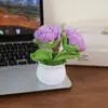 Flor de ganchillo tejida a mano rosa burbuja planta en maceta decoración de escritorio regalo creativo colgante de flor de hilo