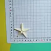 Acessórios de Resina com Concha de Estrela Sapatos com Furo Grampo de Cabelo Acessórios de Cabelo Bolsa Brinquedos Material DIY Fabricante Atacado