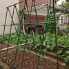 Trellis de uva tubo de acero jardín estante de flores plantación de maracuyá verduras pepino frijoles plantación melón cobertizo soporte para enredaderas varilla de soporte