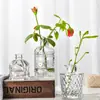 Jarrón de Cristal Repujado Vintage de Lujo de Entrada Sencilla Estilo Ins Jarrón para Mesa de Comedor Botella Decorativa Hidropónica Transparente Estilo Europeo