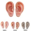 Modelo de Silicone de Orelha Artificial 5D Brincos Falsos para Acupuntura Brincos Adereços de Treinamento de Piercing para Iniciantes Display