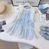 Vestido de Estilo Festivo para Niña Verano Nuevo Falda de Malla Fresca Vestido de Manga Volante