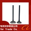 Adecuado para Isuzu 4Jg2 Válvula 8-94133-275-1 8-94433-245-0 Grandes Cantidades en Stock