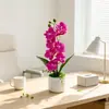 8 orquídeas Phalaenopsis artificiais para decoração de mesa de escritório, plantas em vaso com flores artificiais para fotografia de casamento, decorações de bonsai de plantas verdes