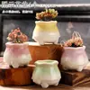 Vaso de Flor Suculenta Cerâmica Preço Especial Liquidação Esmaltado Tamanhos Grande e Pequeno Simples Pastoral Mesa Vasos de Barro Respirável Plantas Leede Estoque