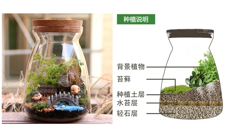 后言1.jpg