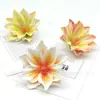 Flor de Magnolia Estrella de la Suerte Flor Artificial DIY Headdress de la Nacionalidad Dai Flor de Pasador Xunpu Paquete de Materiales Flor Artificial Decoración de Caja de Recuerdo