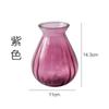 Vaso de Vidro Transparente Estilo Ins Criativo para Casa Interior Flores e Plantas Hidropônicas Decoração de Mesa Venda por Atacado