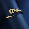 Anillo Abierto de Moda Estilo Europeo y Americano, Zirconia Simple Microincrustada, Diseño de Nicho, Anillo Versátil de Gama Alta