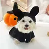 Capa de Halloween para mascotas de otoño e invierno, linda y divertida, capa impermeable para gatos, capa de ropa para perros, capa para perros