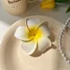 Accesorios para el Cabello de Estrellas de Mar, Flores, Conchas y Bayas de Primavera y Verano, Pinzas Dulces para el Cabello, Pinzas Laterales Serie Océano, Adornos para el Cabello para Vacaciones en la Costa
