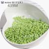 Cuentas de arroz esmaltadas de color sólido de alto brillo MIYUKI Yuxing de 3 mm, hechas a mano, para pulseras, collares y accesorios de joyería.