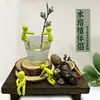 Companheiro de crescimento de plantas hidropônicas para endireitar e apoiar galhos, decoração de mesa de escritório, figura de formato fixo para suporte de plantas hidropônicas