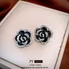 Pendientes de Flor Tachonados de Diamantes Simples de Aguja Plateada, Pendientes de Lujo Ligero de Nicho de Gama Alta, Accesorios para Orejas Elegantes Versátiles de Moda al por Mayor para Mujeres