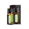 Óleo Essencial Aromaterapia Solúvel em Água Ponto de Fábrica 10ml Purificador de Ar Aromaterapia Umidificador Difusor Fragrância de Longa Duração