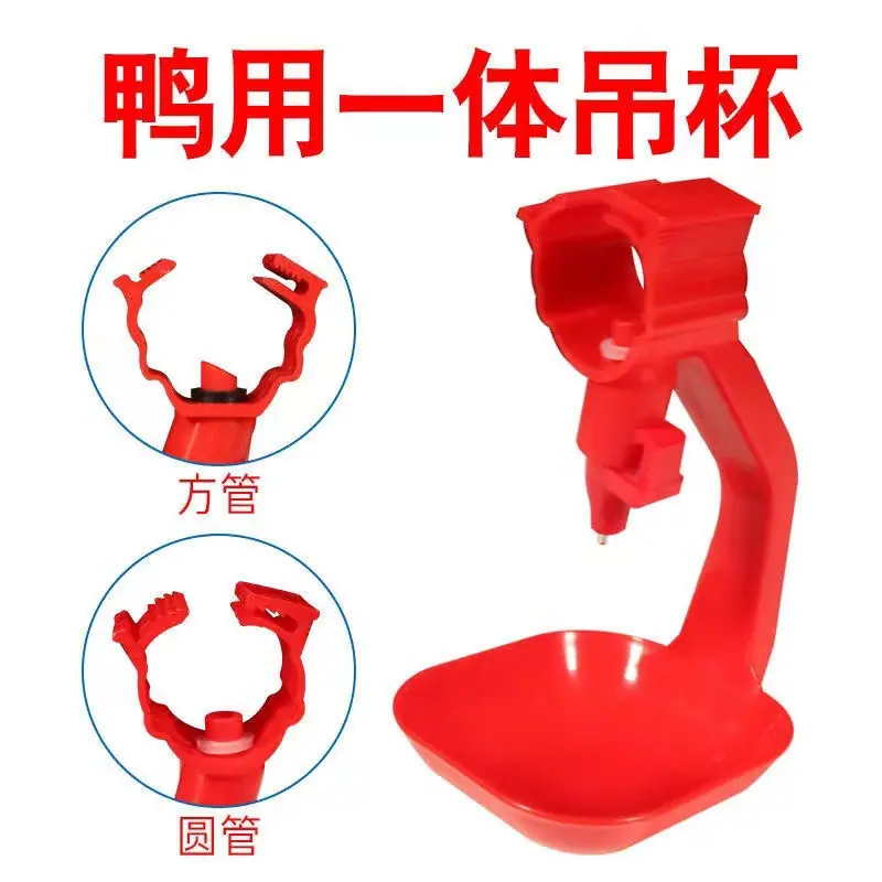 详情 (8).jpg