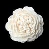 Dropshipping (un artículo) 4cm Granja Dadi Flores de Crisantemo y Tungcao para Jardín, Decoración de Ramo de Boda Flores Secas, Se Pueden Perforar Agujeros en Ellas