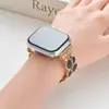 Adequado para Apple Watch com um Toque de Luxo, Pulseira de Esmalte Circular Pintura a Óleo de Inverno, Relógio Transfronteiriço, Metal, Versátil para Mulheres